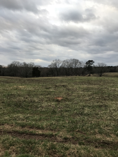 Picture of Rocky Creek - Wilkes County, GA