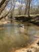 Picture of Rocky Creek - Wilkes County, GA