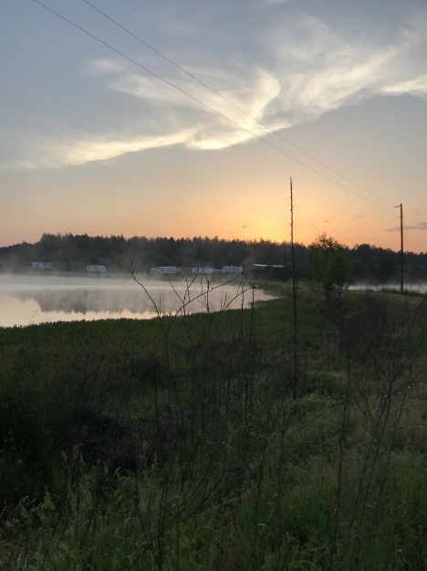 Picture of Petrey Farms - Crenshaw County, AL