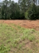Picture of Beaverdam Farm North - Wilkes County, GA