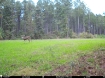 Picture of Beaverdam Farm North - Wilkes County, GA
