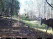 Picture of Beaverdam Farm North - Wilkes County, GA