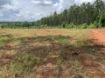 Picture of Beaverdam Farm North - Wilkes County, GA