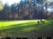Picture of Beaverdam Farm North - Wilkes County, GA