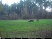 Picture of Beaverdam Farm North - Wilkes County, GA