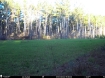 Picture of Beaverdam Farm North - Wilkes County, GA