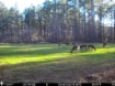 Picture of Beaverdam Farm North - Wilkes County, GA