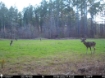 Picture of Beaverdam Farm North - Wilkes County, GA