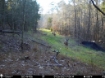 Picture of Beaverdam Farm North - Wilkes County, GA