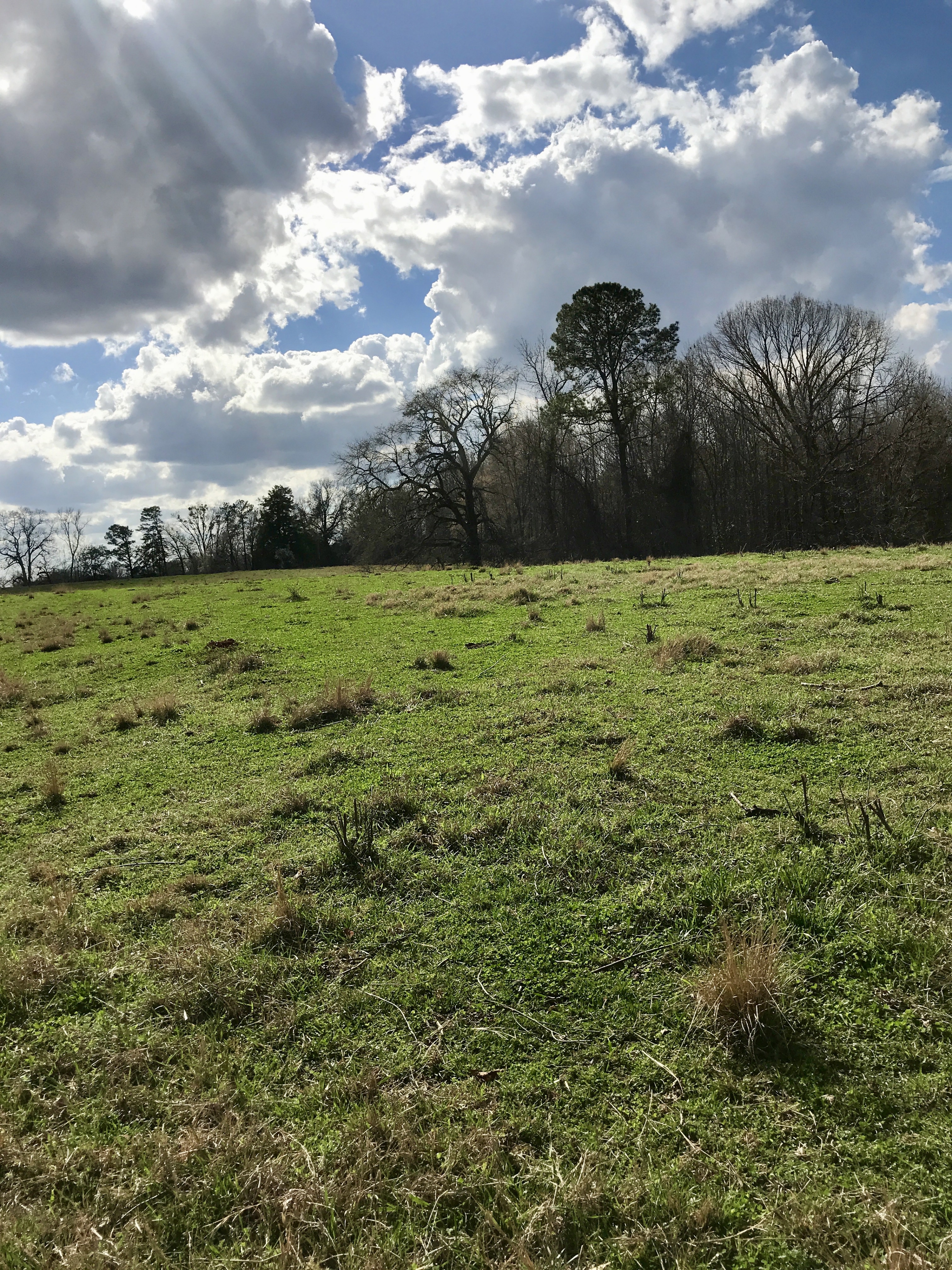 Picture for category Leases