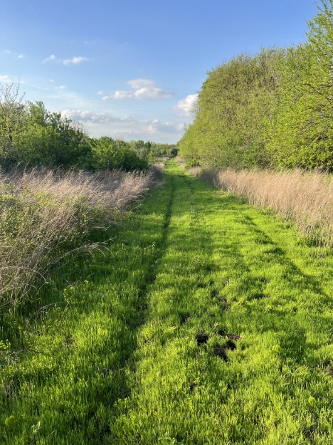 Picture for category Missouri (MO)