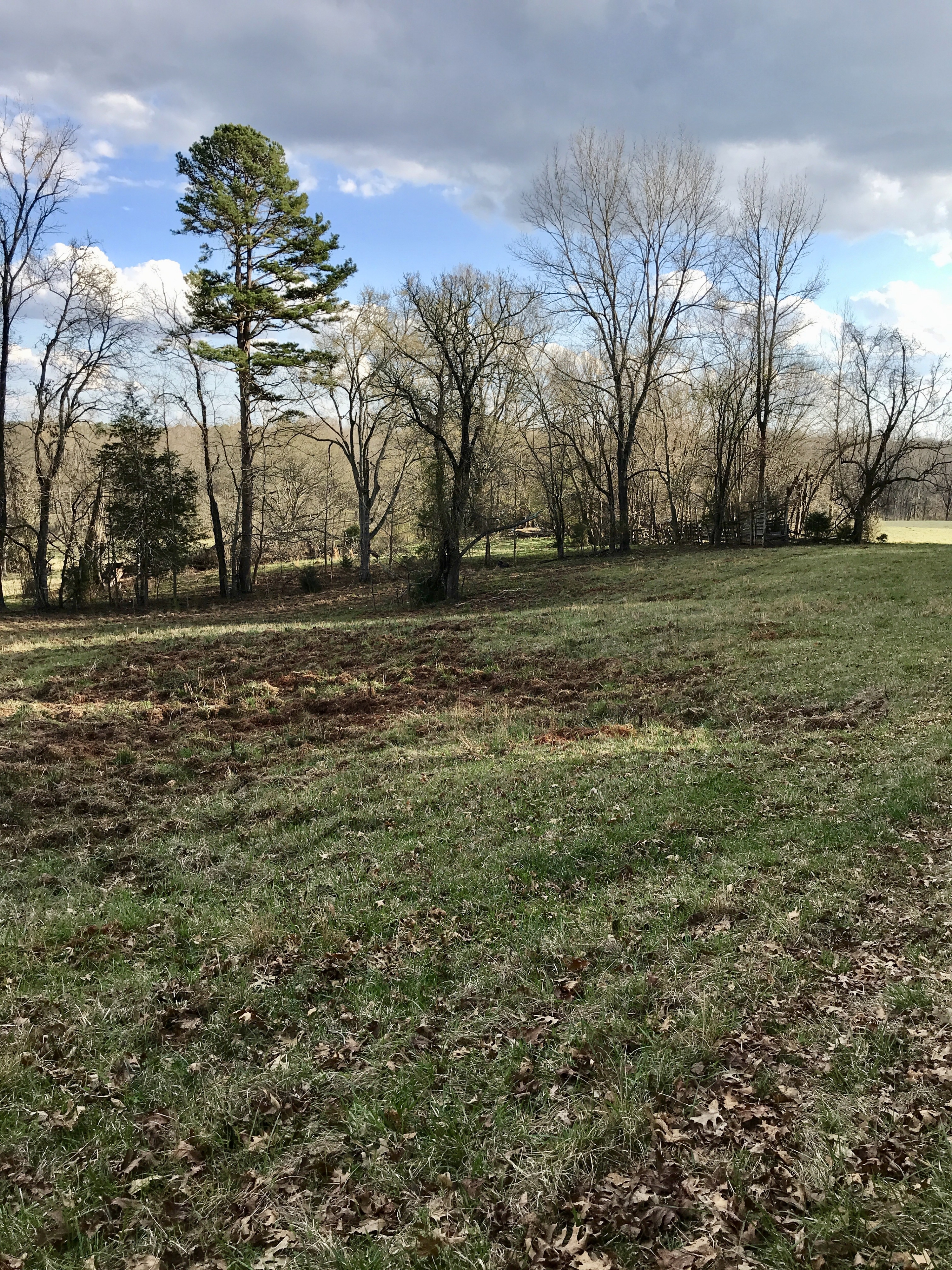 Picture for category Georgia (GA)